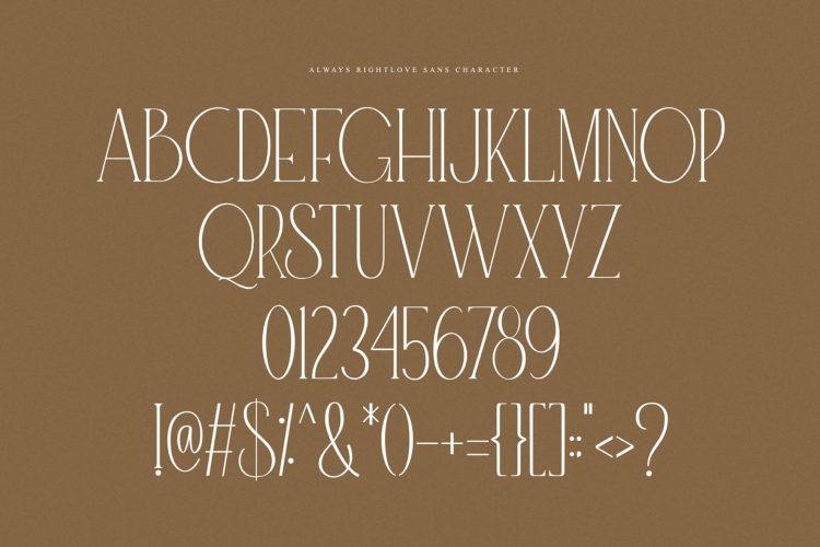 duo font serif script