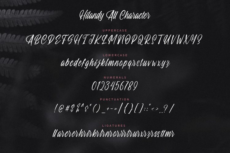 modern script font