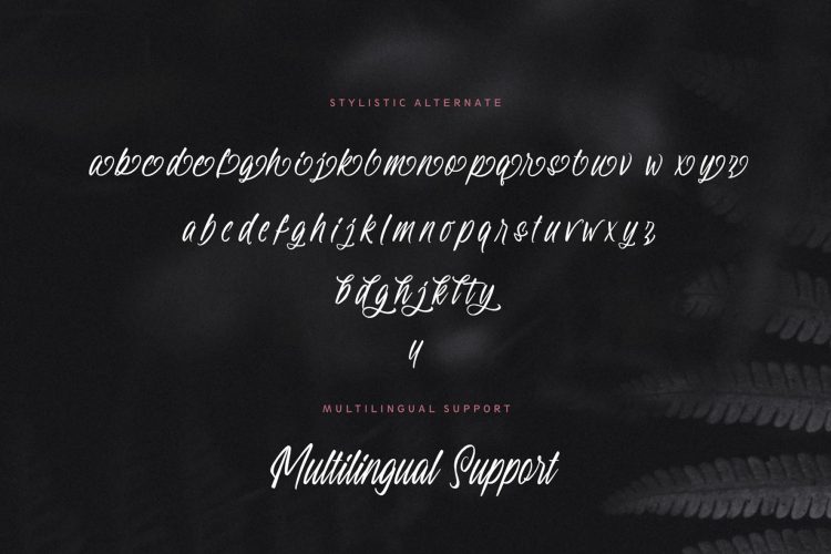 modern script font