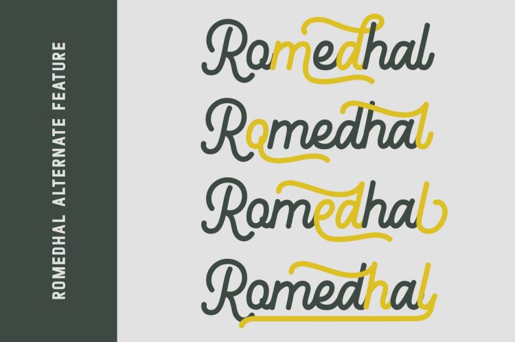 monoline retro script font
