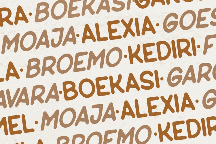 sans serif display font