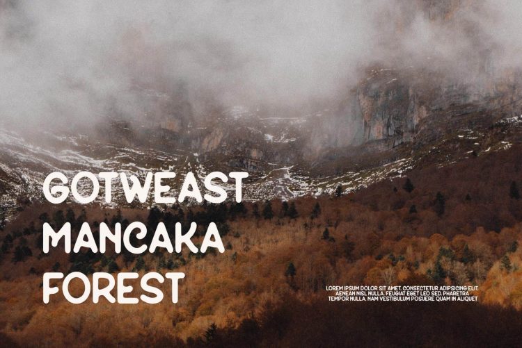 sans serif display font